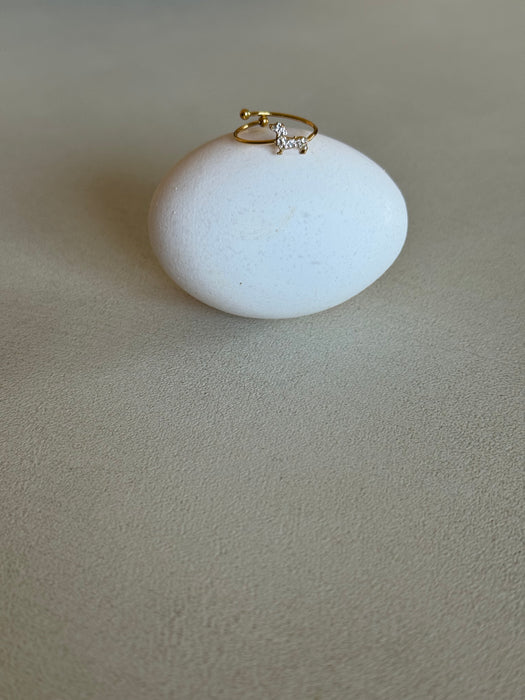 Doggy ring
