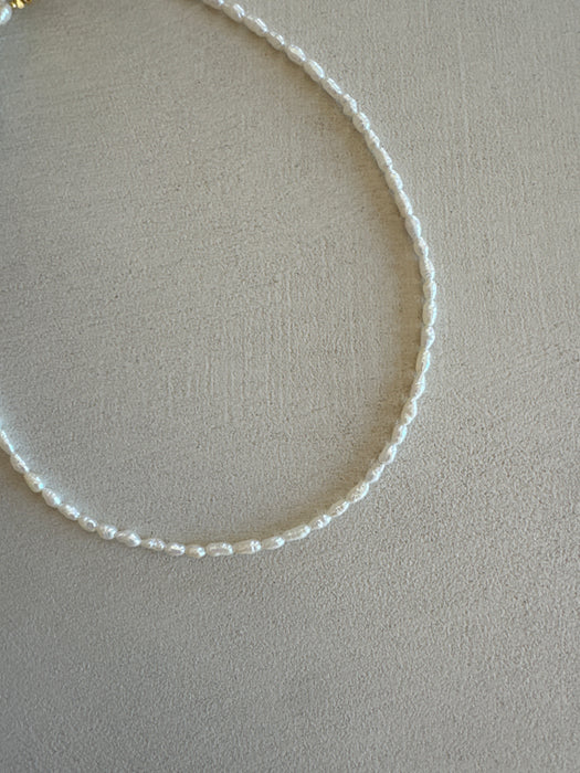 Piccola Perla