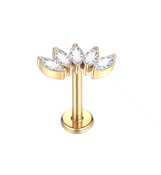 Piercing Loto